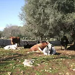 Farm stay Fattoria Terra E Liberta Contrada Maeggio