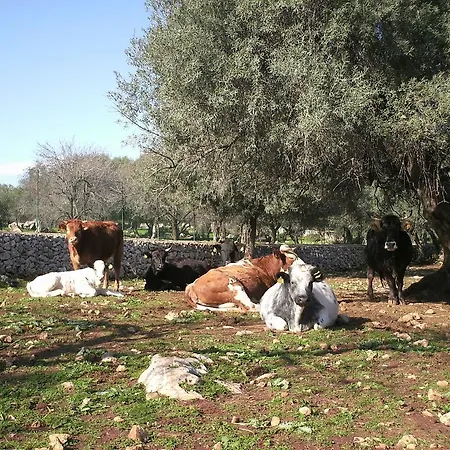 בית חווה Fattoria Terra E Liberta קונטרדה מאגיו